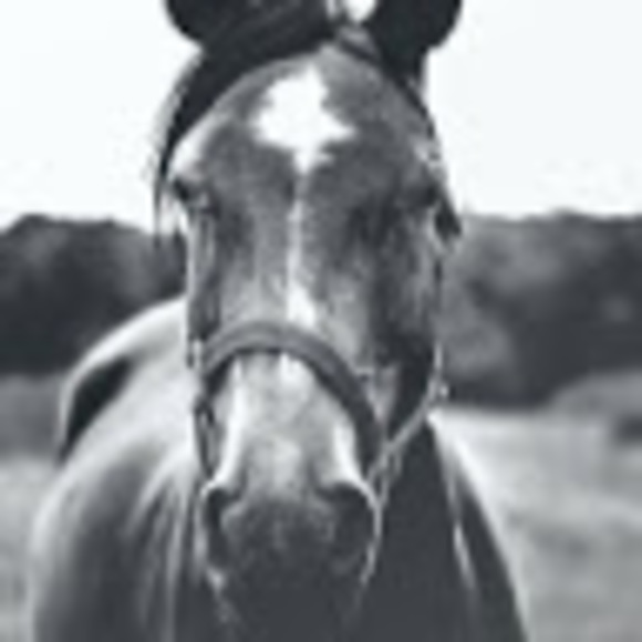 Meet your Posher, Brienna - Picture 1 of 1